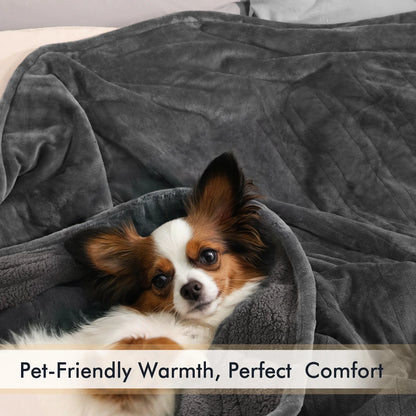 Luxurious Queen Size Electric Heated Blanket - Fast Heating, Dual Controllers, 10 Levels & Timers, Preheat Function, Machine Washable - Cozy Gray